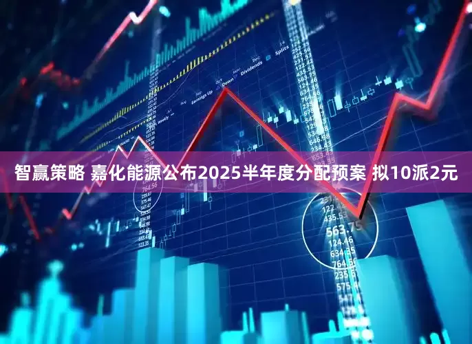 智赢策略 嘉化能源公布2025半年度分配预案 拟10派2元